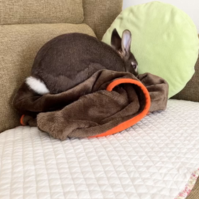 今年最後のドヤ顔の画像