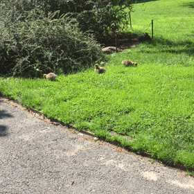 全ての不幸を糧にする②の画像