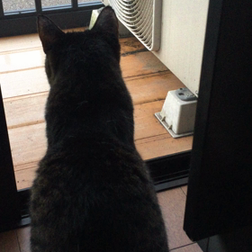 いつもの朝〜の画像