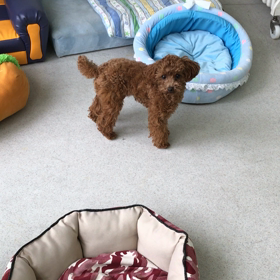 ♪プレイルーム動画♪①の画像