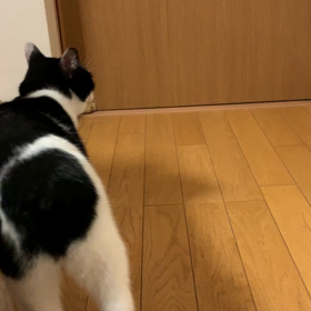 貪食族は…の画像