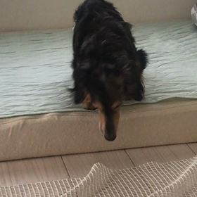 爺と婆のお散歩(*´꒳`*)①の画像