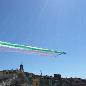 トリコロールの画像