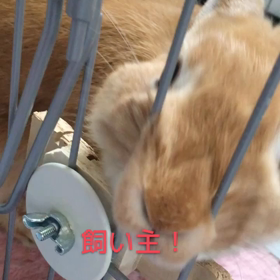 ブログ変更しました。『お昼〜』の画像