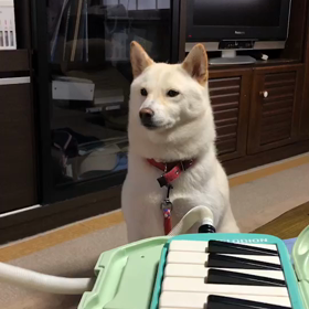 歌ってる？の画像