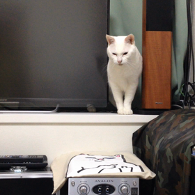 ふてくされ声も可愛い♡の画像