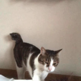 ジム再開、主人と孫、デールの起こし方。の画像