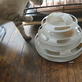 お待たせ。の画像