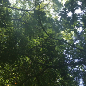 日々のあれこれの画像