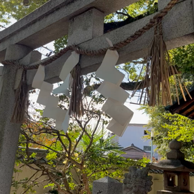 今日はトリプル開運日の画像