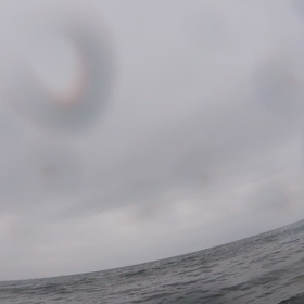 午後、出動しました！の画像