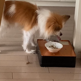 心臓発作　５回目の画像