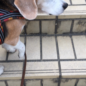 電池切れの画像