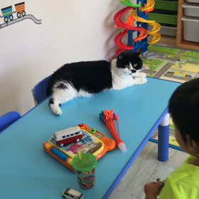 困った部長ぶちょうLiveの画像