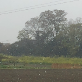 雪〜‼︎‼︎の画像