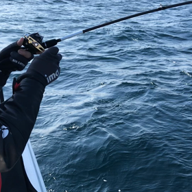 本日のカワハギ動画、3連発！の画像