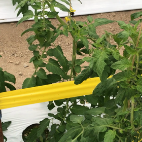 『働いてくれてありがとう(^o^)』の画像