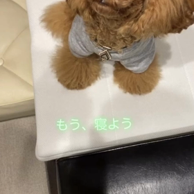 宇野樹君インスタストーリーより　もう、寝ようの画像