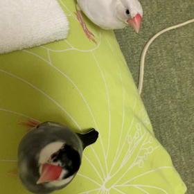 健康診断の画像