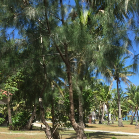 ココス島の画像