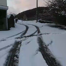 そして、やはり…の画像