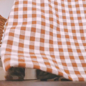 ちょこたんの１日♪の画像