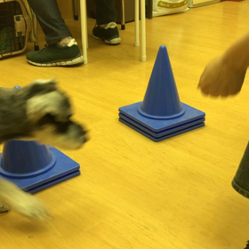 いつもの事か。の画像