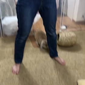 初めての動画の画像