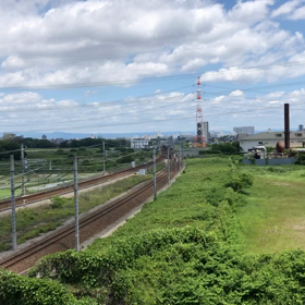 カンガルーライナー撮影の画像