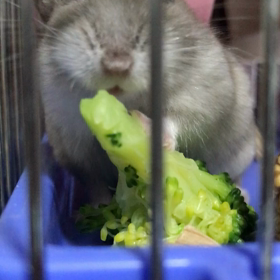 スローモーション4の画像