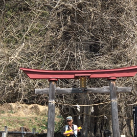 世界中、しあわせでありますように・・・　byマリオの画像