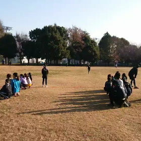 10色リレー⑧の画像