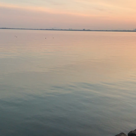 第１８戦  ２月ノーフィッシュ確定〜の画像