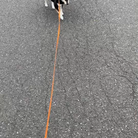 雪の得意技？の画像