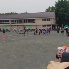 6月18日 ダッシュの場 26の画像