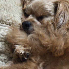 たまらん♪の画像