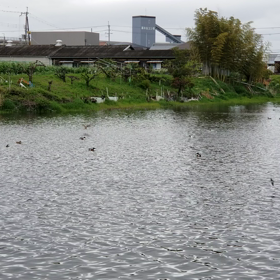 来ましたね。の画像