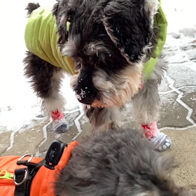 お便りいただきました♪の画像