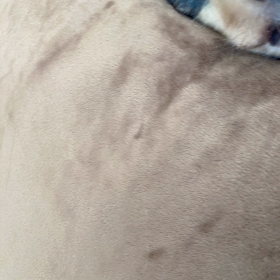 衝撃動画なので閲覧注意かもです。の画像