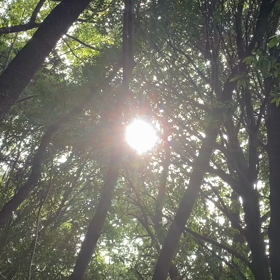 “自然と音遊び” プロジェクト vol.084！の画像