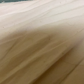 ひろになれたって言ってた、なさかの画像