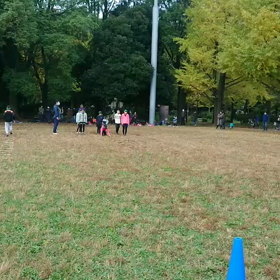 ダッシュ(緑チーム)⑭の画像