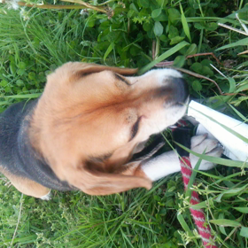 今宵は、NHK SONGS  ドリカム 22：45～の画像