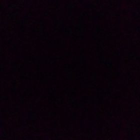 28.04.23 ホル4本目の画像