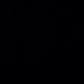 初乗り・１４の画像