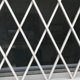 犬もどきの画像