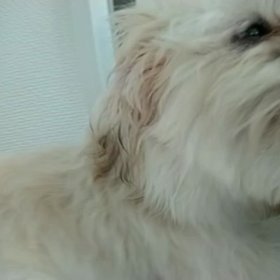 舐められるの画像