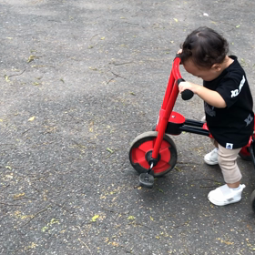 今日の成果の画像