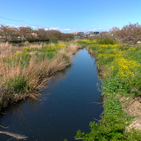 ええ天気です！の画像