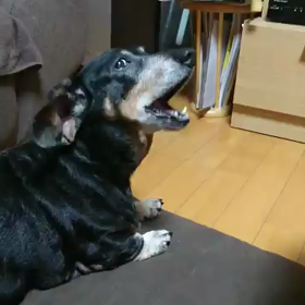 不満ありの画像